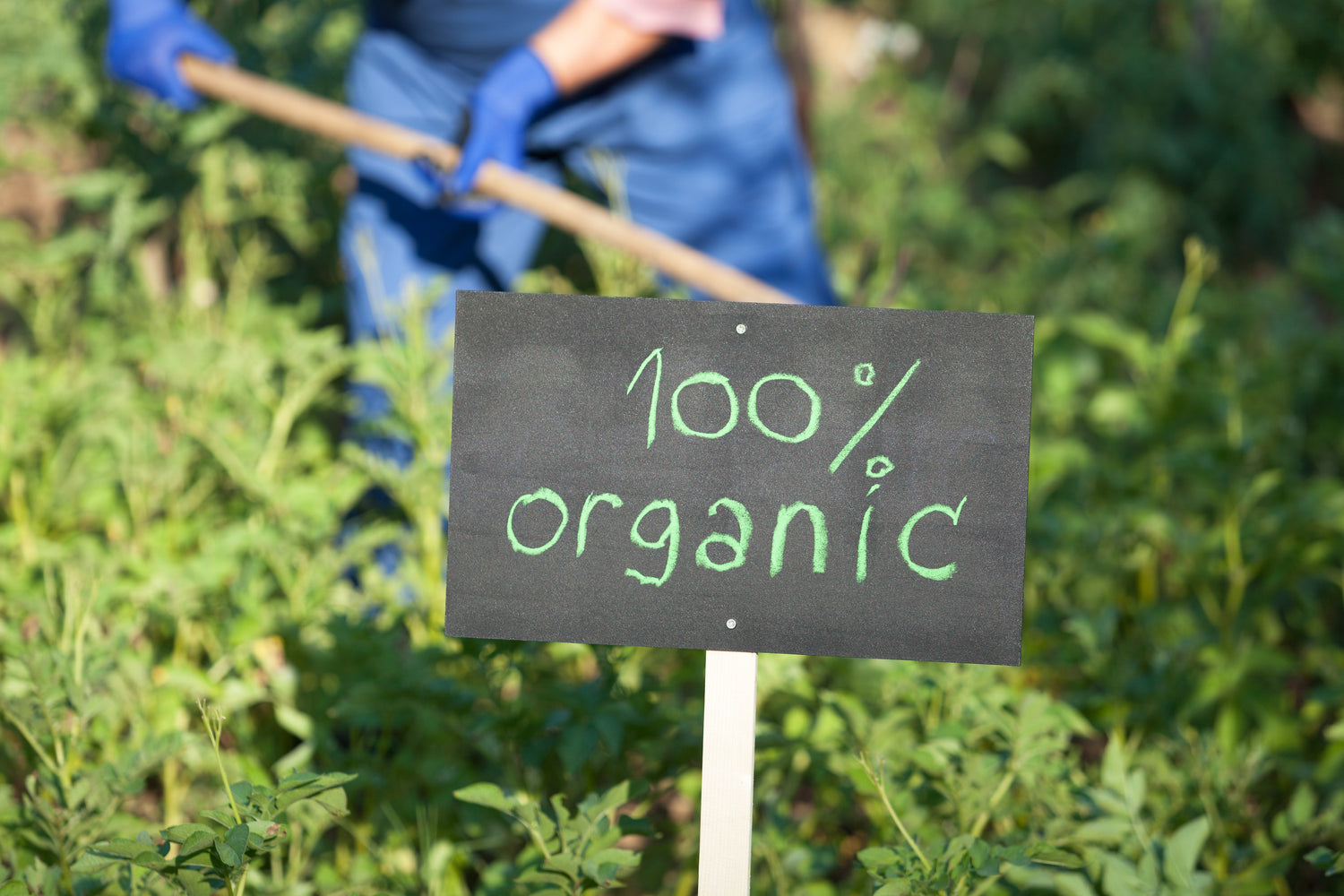 Organic Collection